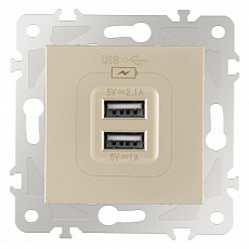 Розетка usb, без рамки arte milano am-203 203.46-1.shampan